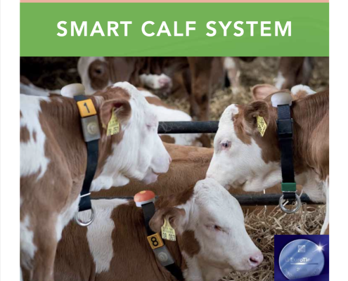 Smart Calf System Prospekt